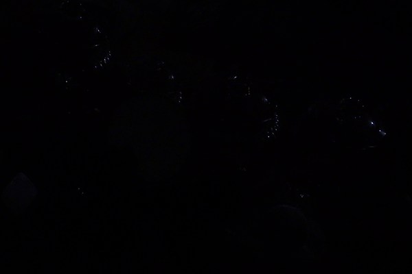 Image 6 of 17