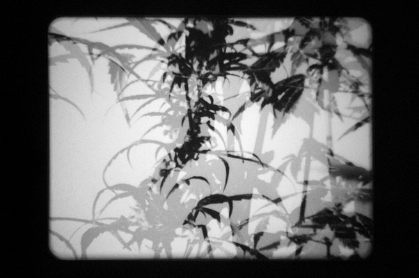 Image 45 of 63