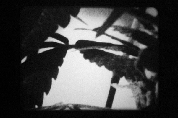 Image 51 of 63