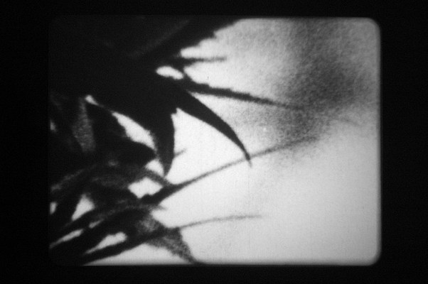 Image 52 of 63
