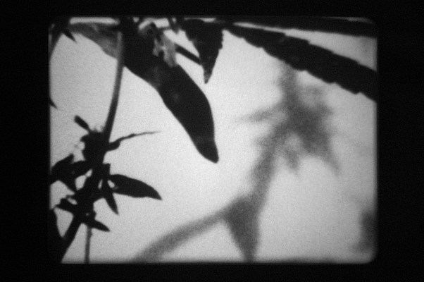 Image 53 of 63