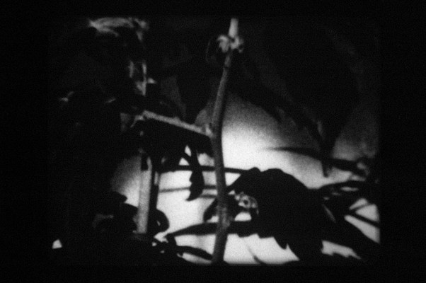 Image 55 of 63