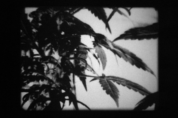 Image 56 of 63