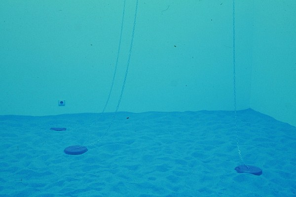 Image 3 of 5