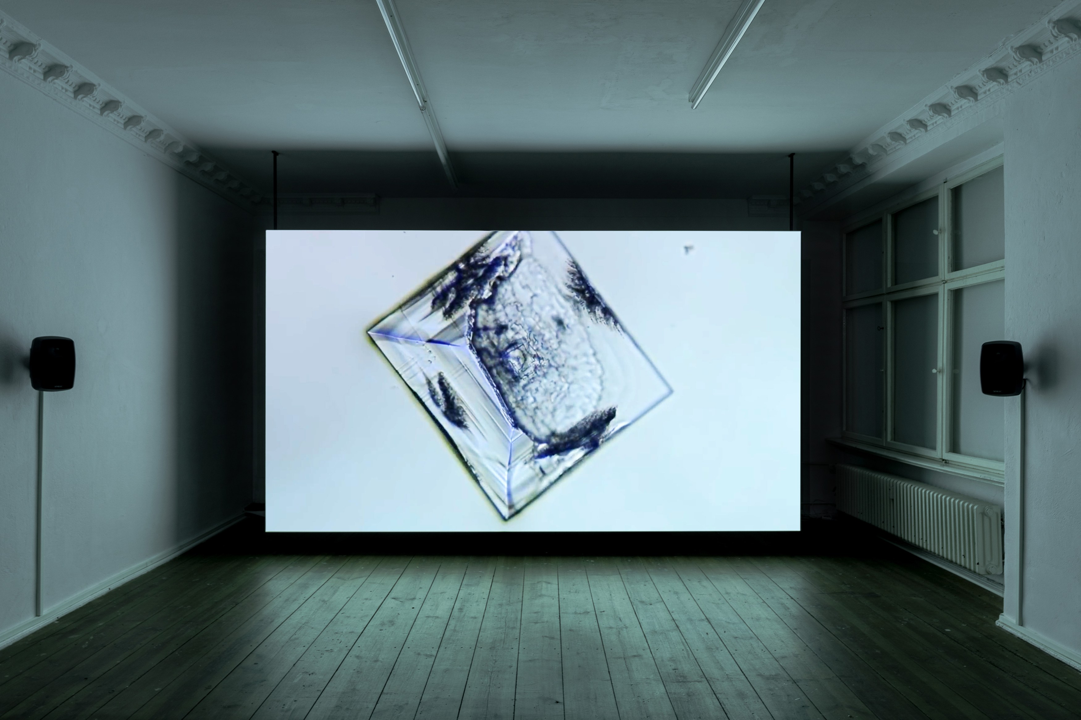 Lucy Beech, Out of Body at Between Bridges, photo 4