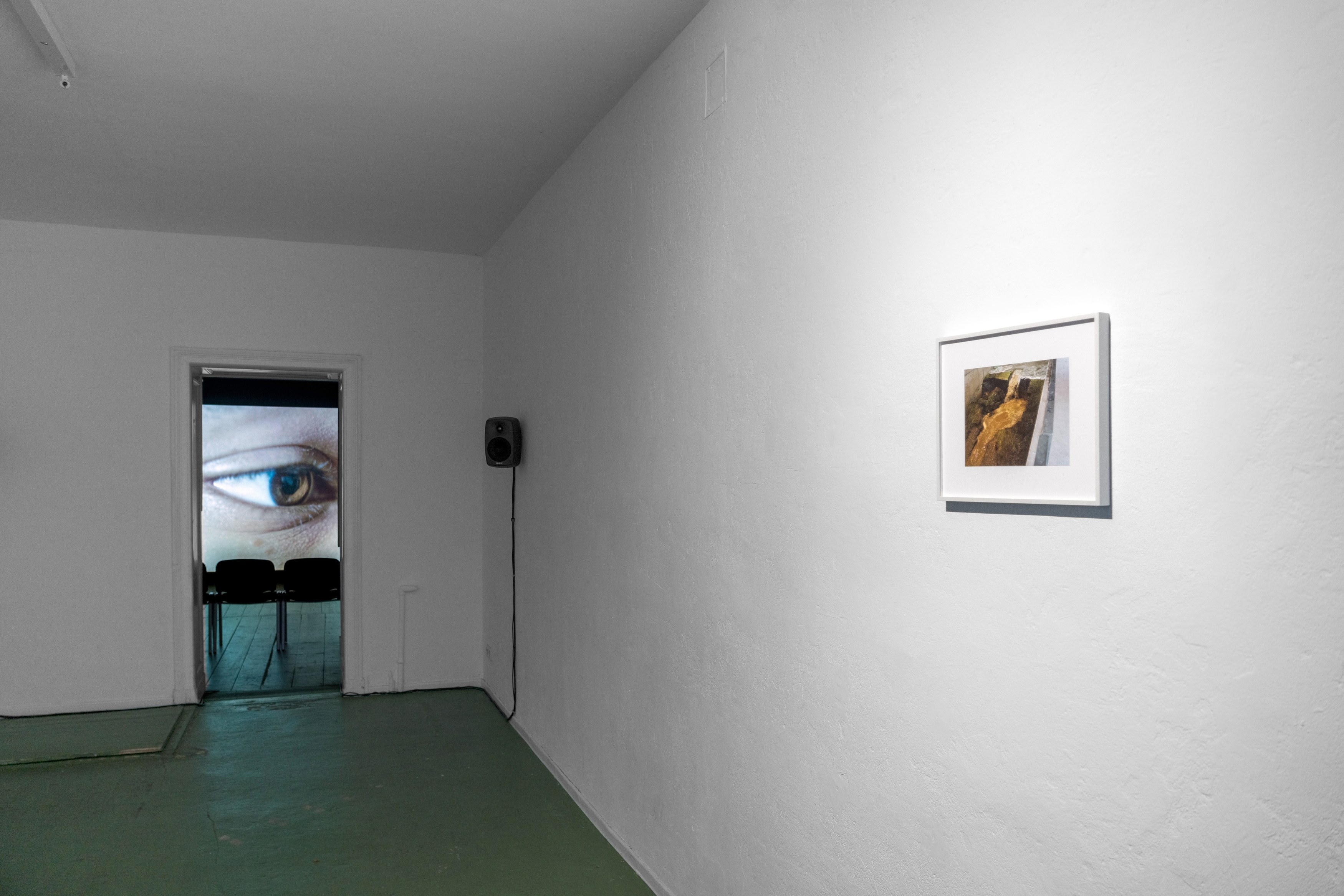 Lucy Beech, Out of Body at Between Bridges, photo 9