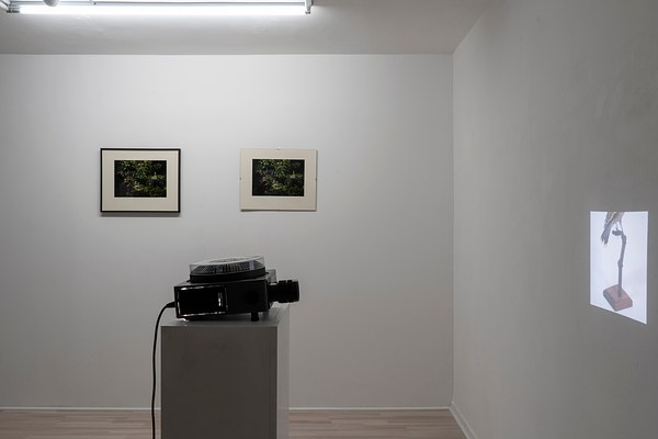 Image 2 of 23