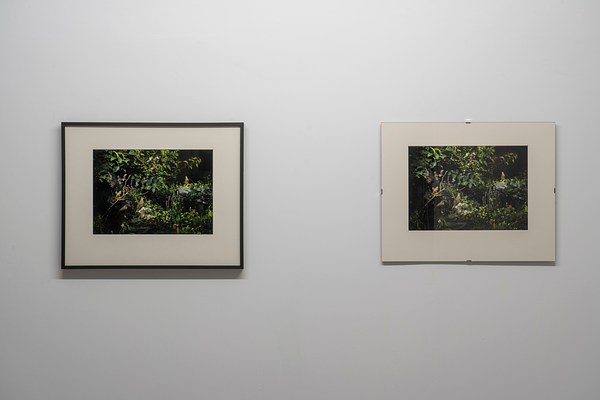 Image 4 of 23