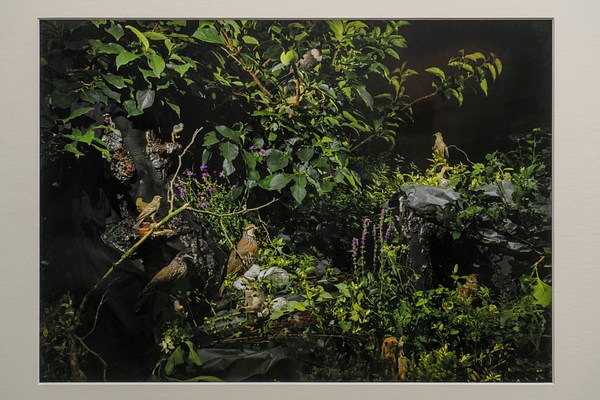 Image 7 of 23