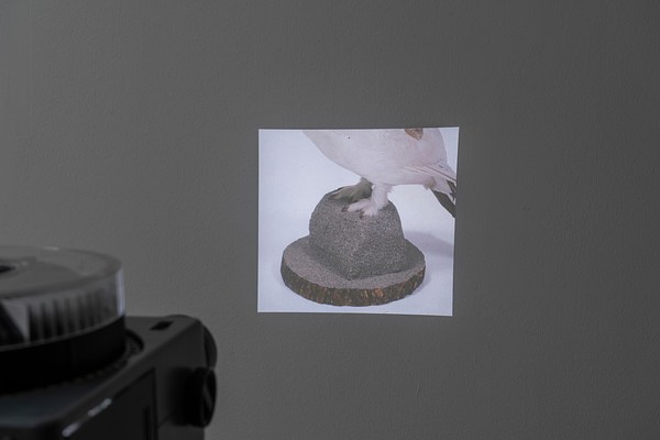 Image 12 of 23