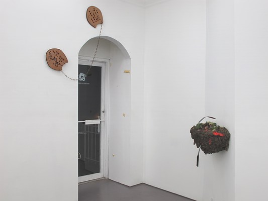 Image 4 of 42