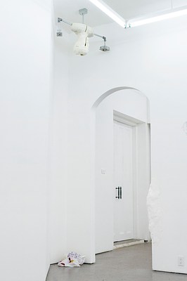 Image 12 of 42
