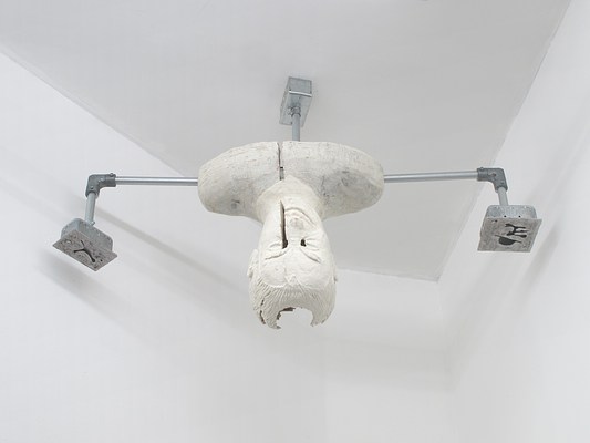 Image 19 of 42