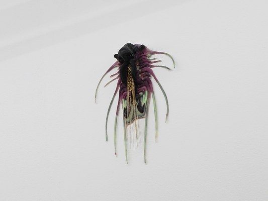 Image 21 of 42
