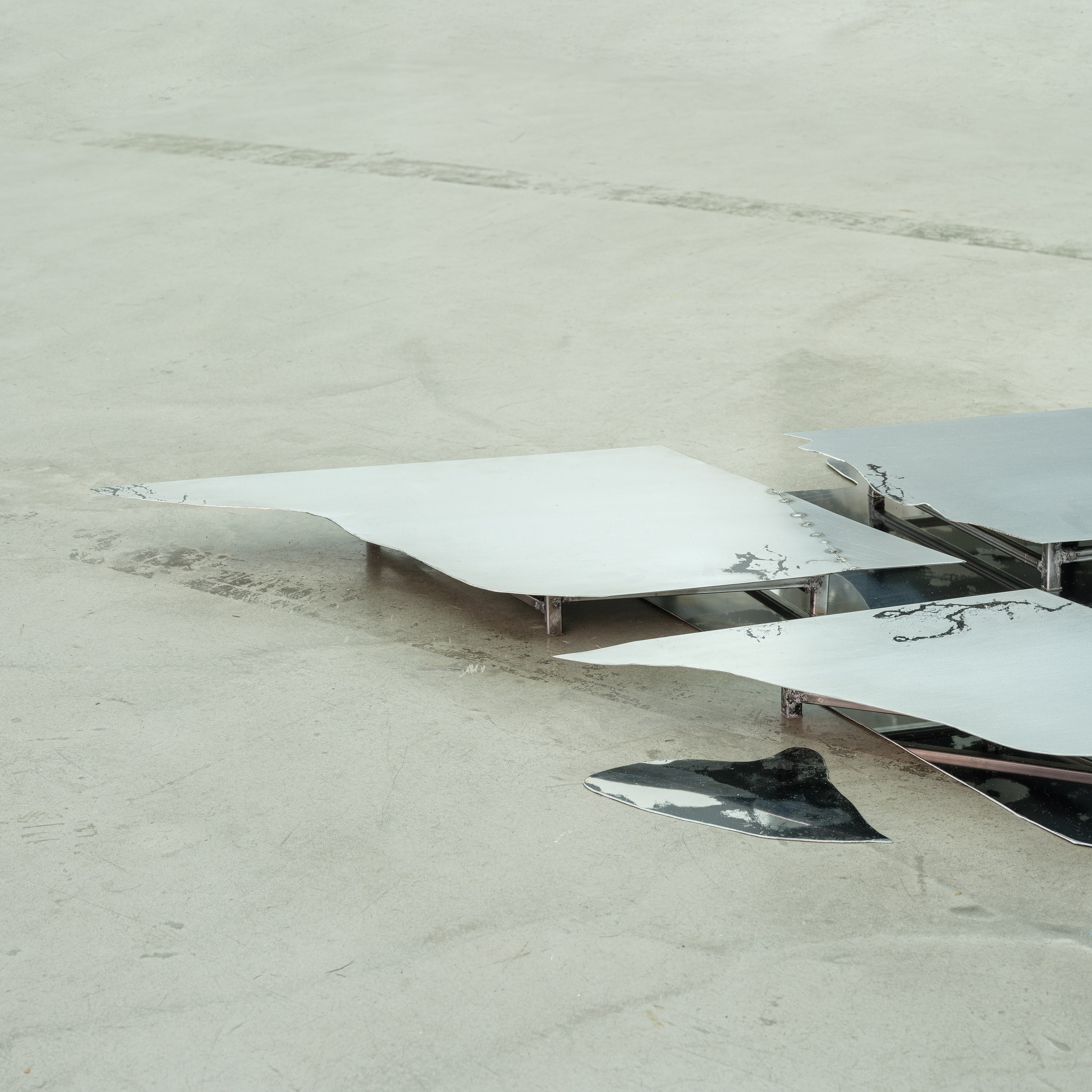 Célia Boulesteix, Victor Unwin, Pig Sole at Galerie Derouillon, photo 5
