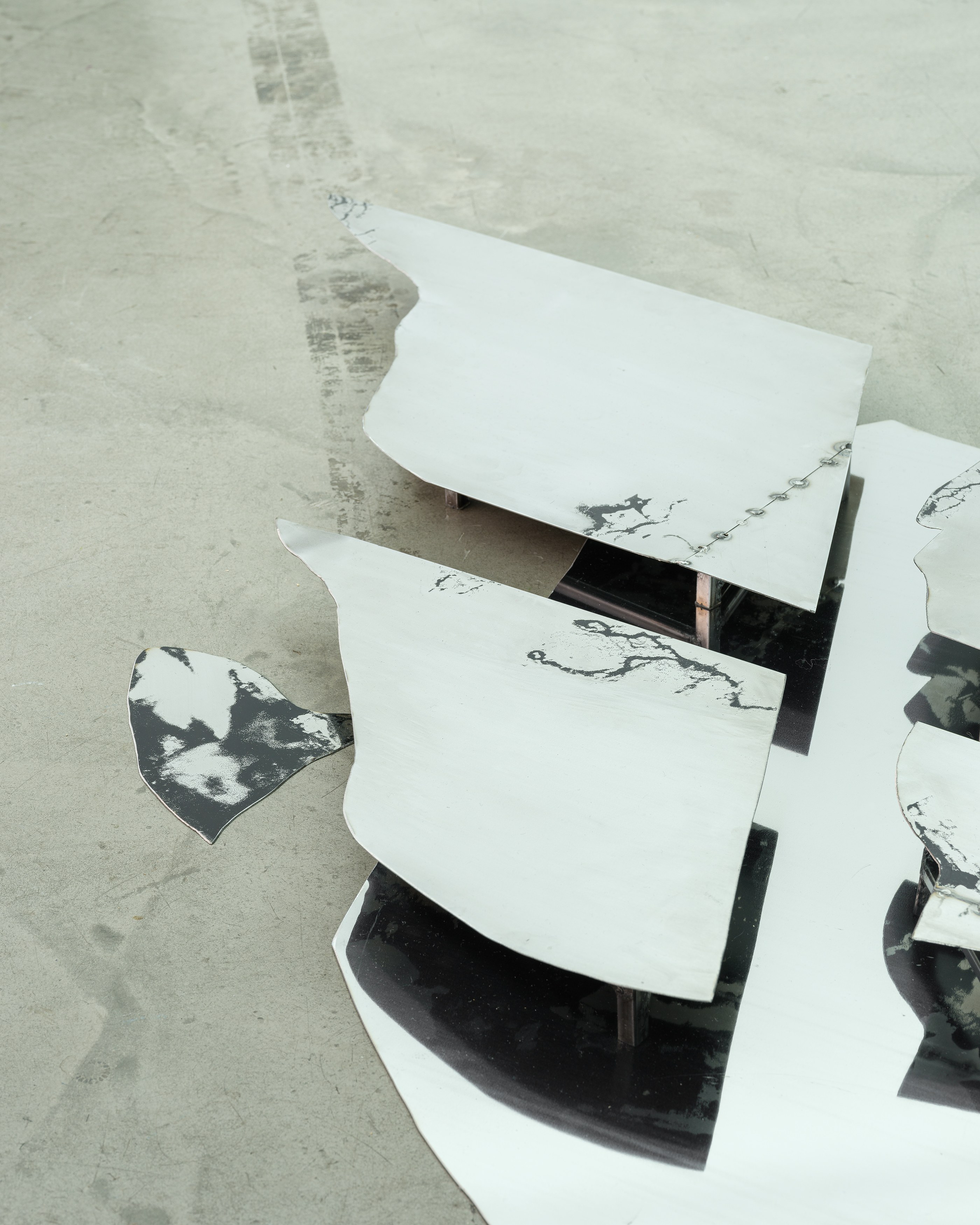 Célia Boulesteix, Victor Unwin, Pig Sole at Galerie Derouillon, photo 6