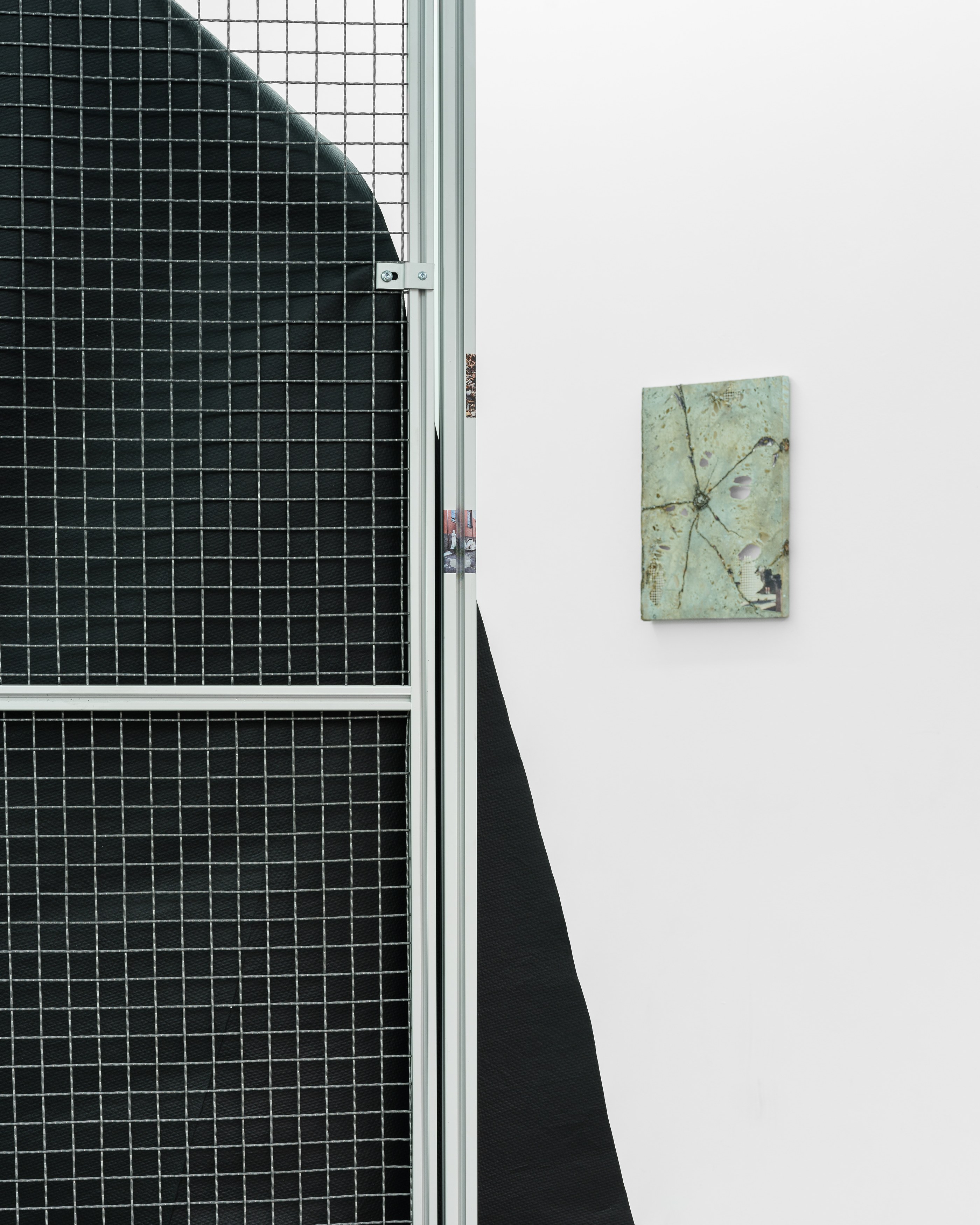 Célia Boulesteix, Victor Unwin, Pig Sole at Galerie Derouillon, photo 9