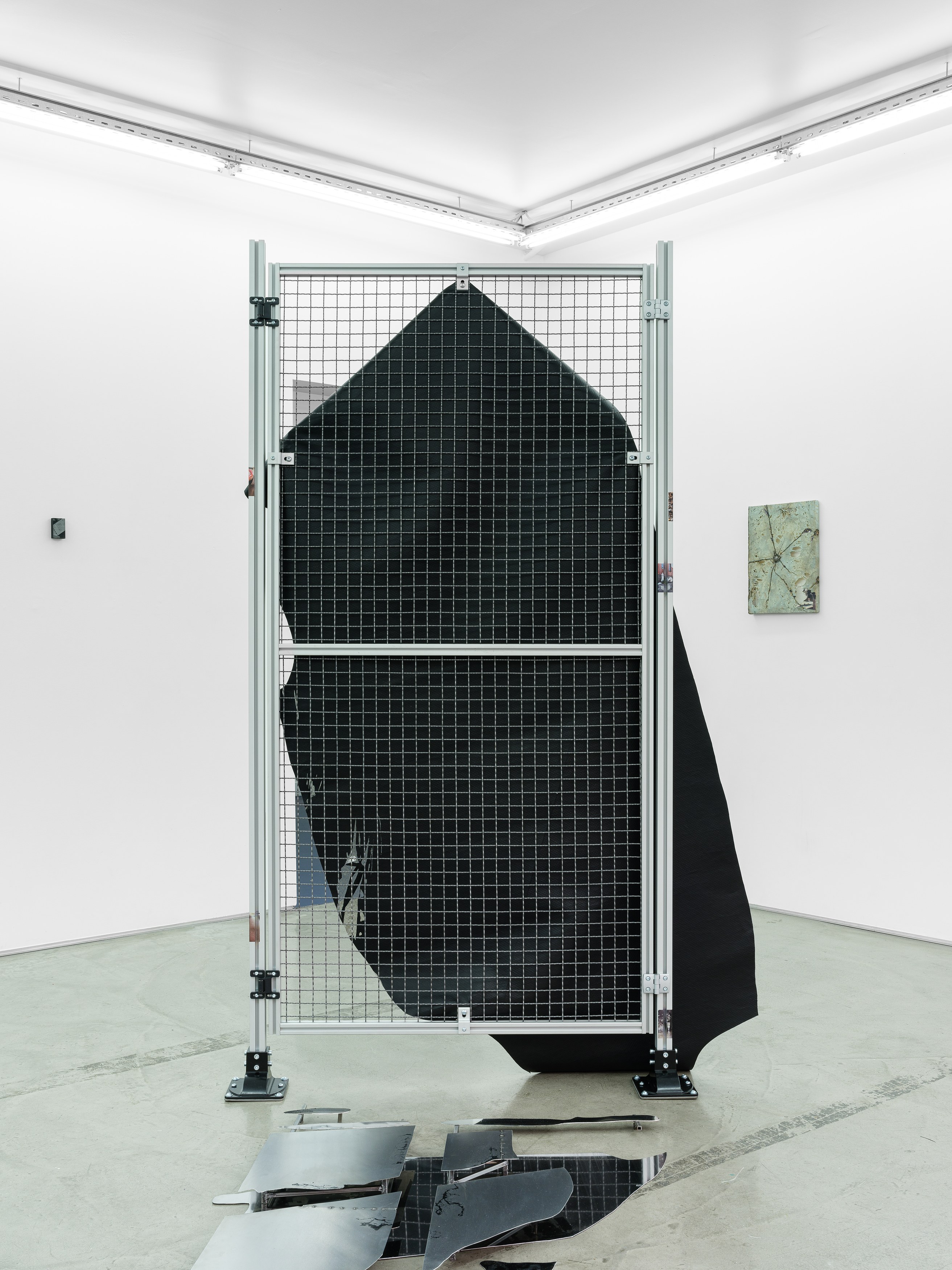 Célia Boulesteix, Victor Unwin, Pig Sole at Galerie Derouillon, photo 8
