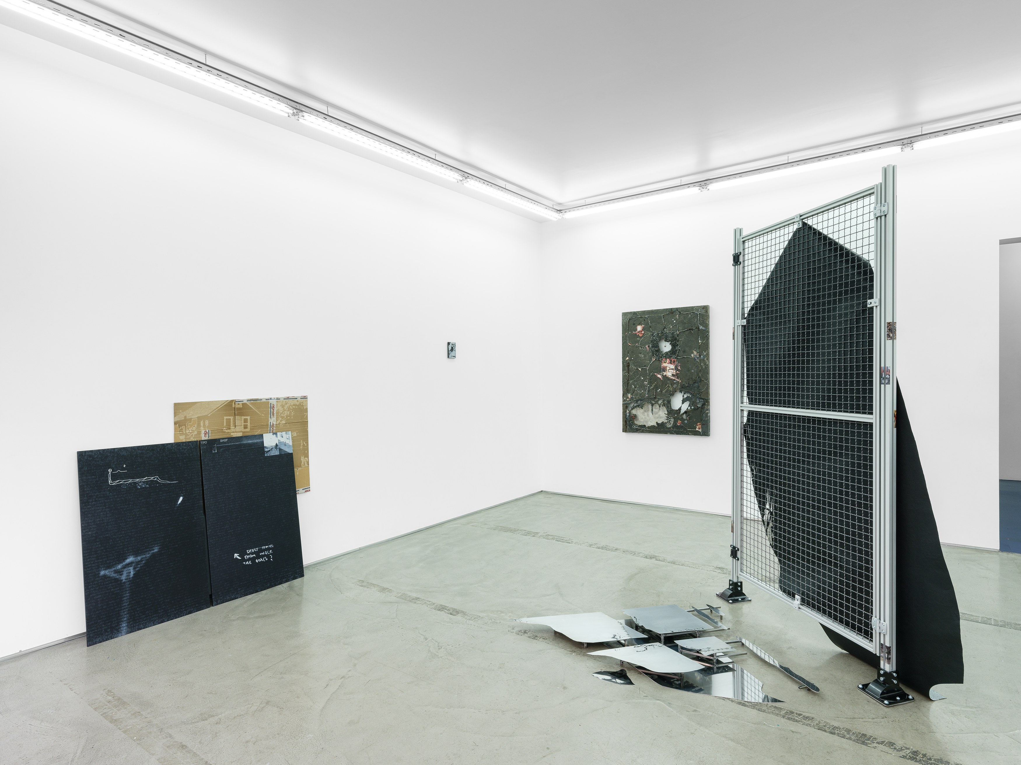 Célia Boulesteix, Victor Unwin, Pig Sole at Galerie Derouillon, photo 10