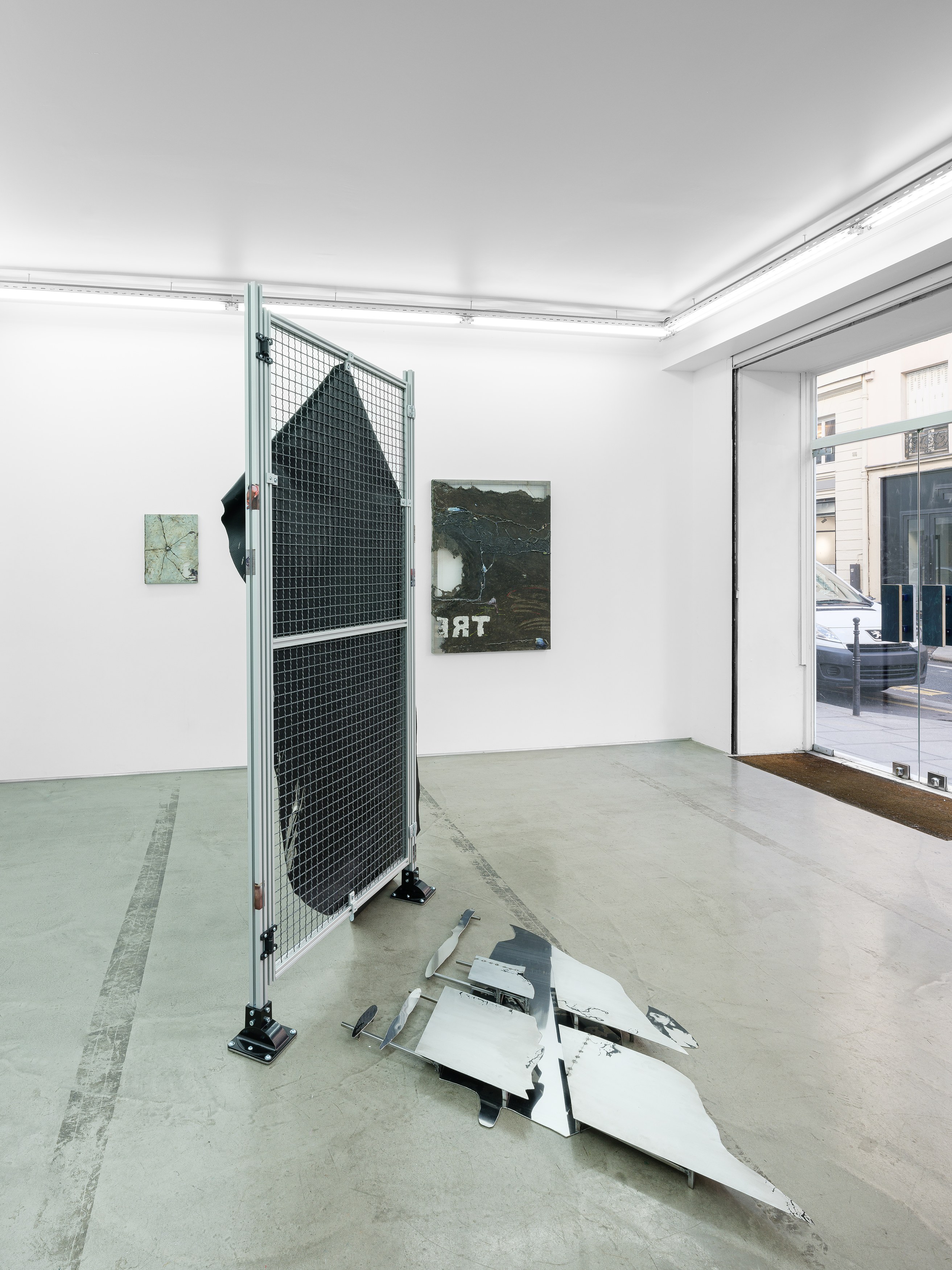 Célia Boulesteix, Victor Unwin, Pig Sole at Galerie Derouillon, photo 13