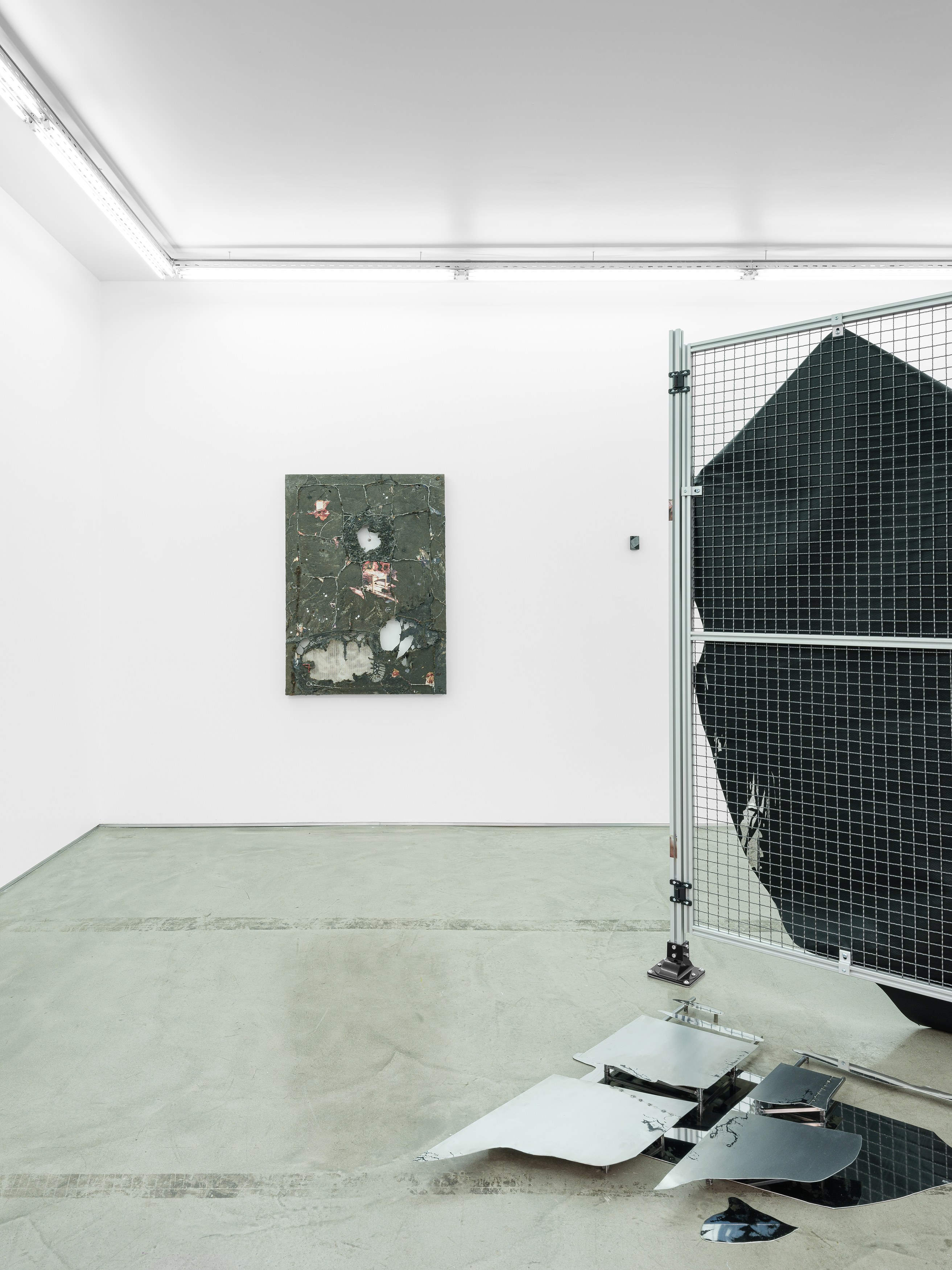 Célia Boulesteix, Victor Unwin, Pig Sole at Galerie Derouillon, photo 15