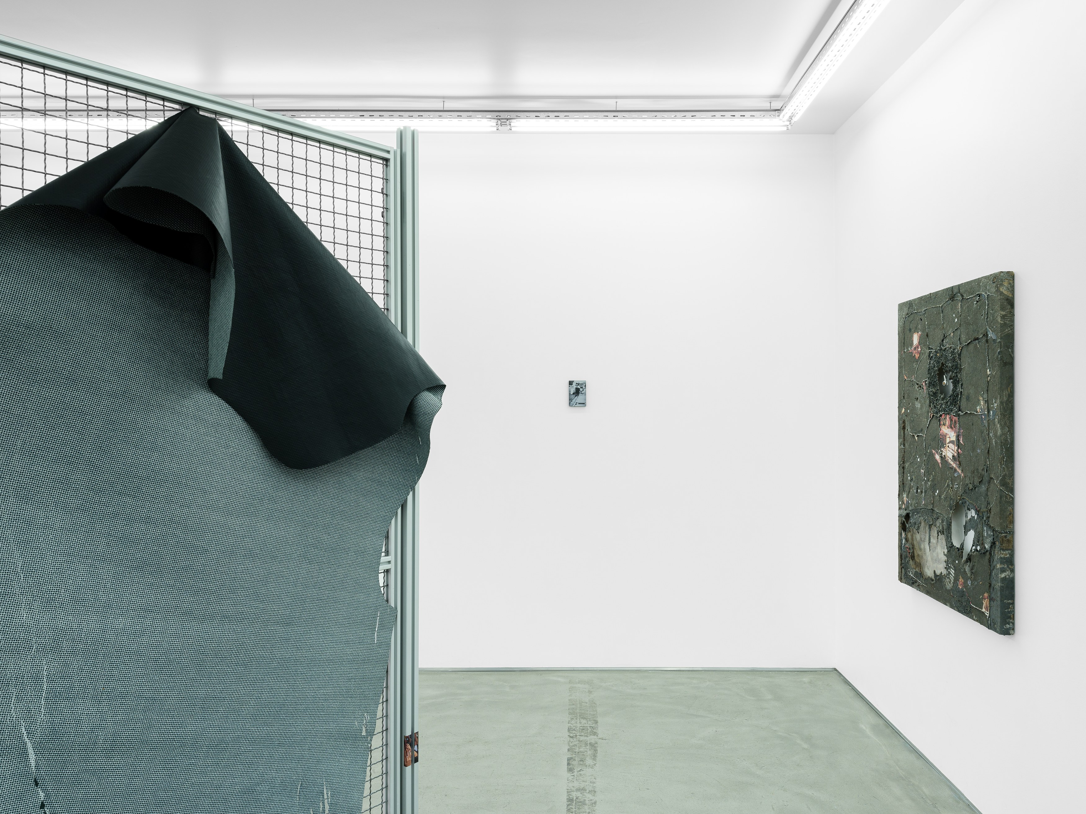 Célia Boulesteix, Victor Unwin, Pig Sole at Galerie Derouillon, photo 17