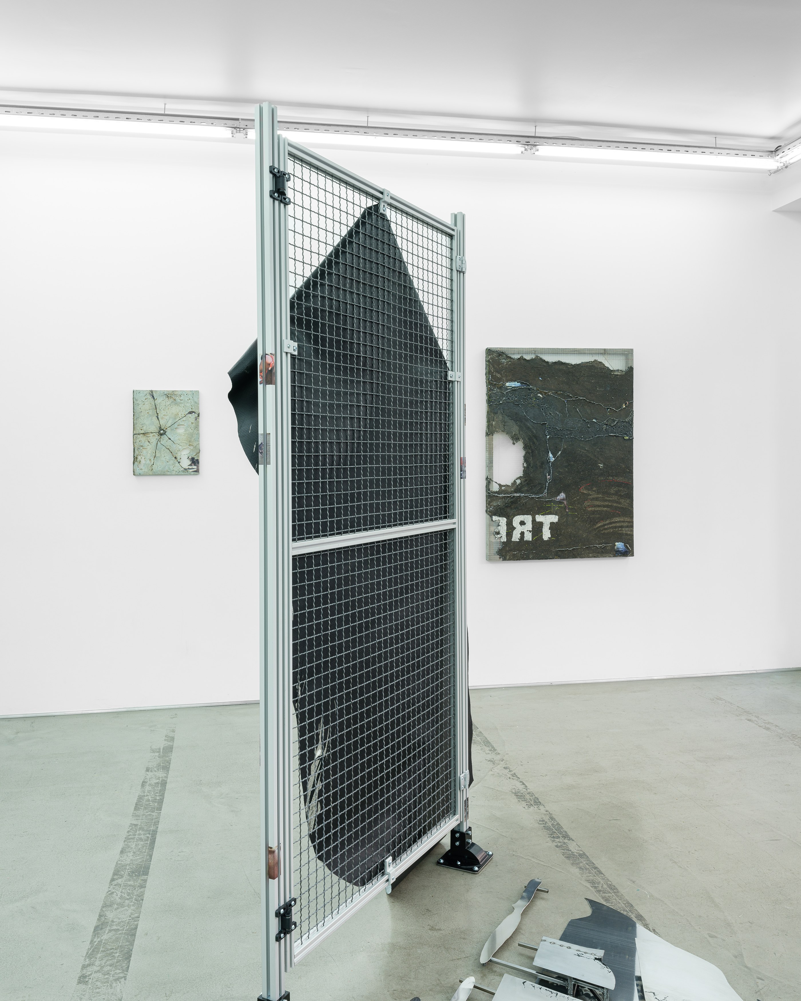 Célia Boulesteix, Victor Unwin, Pig Sole at Galerie Derouillon, photo 14
