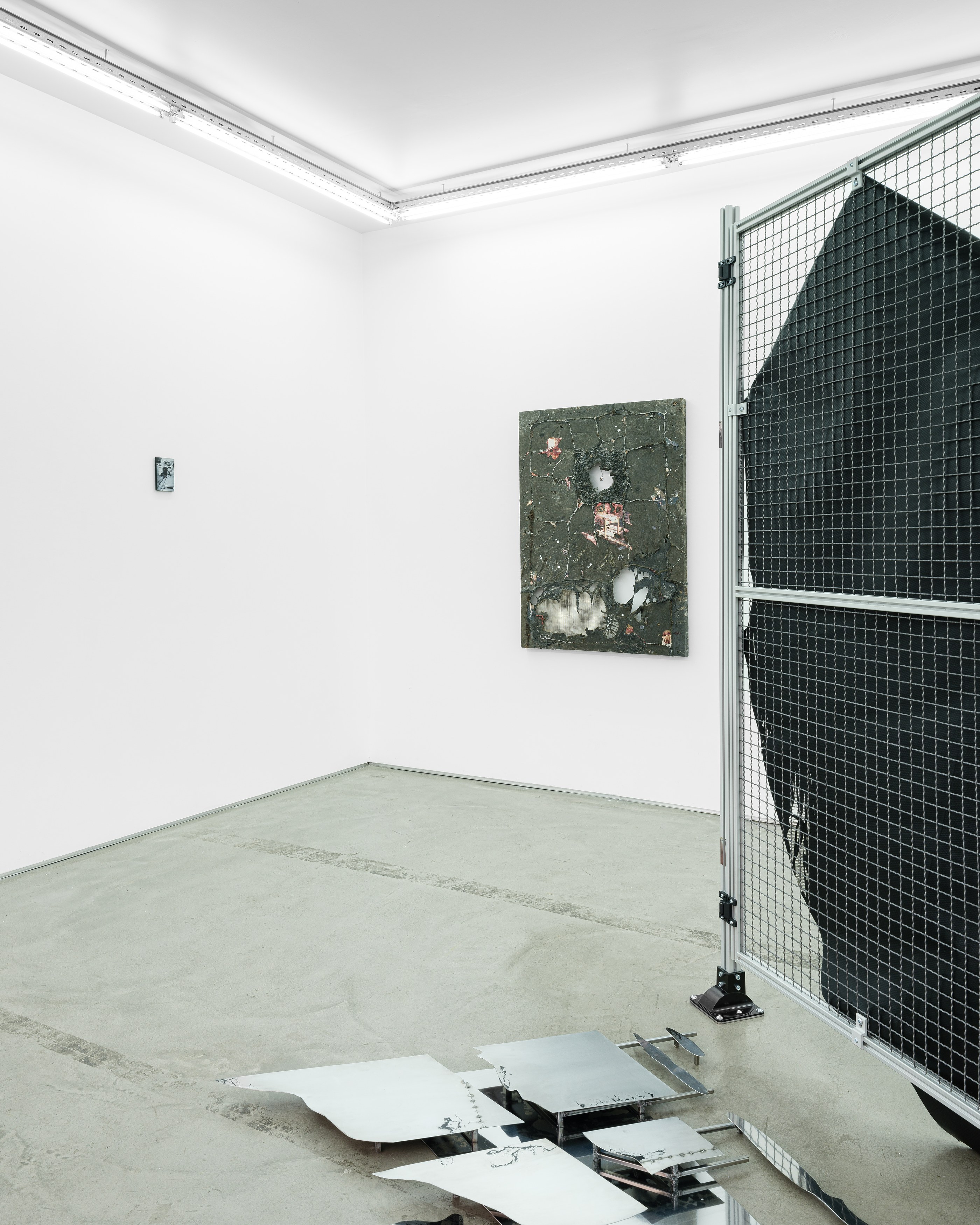 Célia Boulesteix, Victor Unwin, Pig Sole at Galerie Derouillon, photo 16