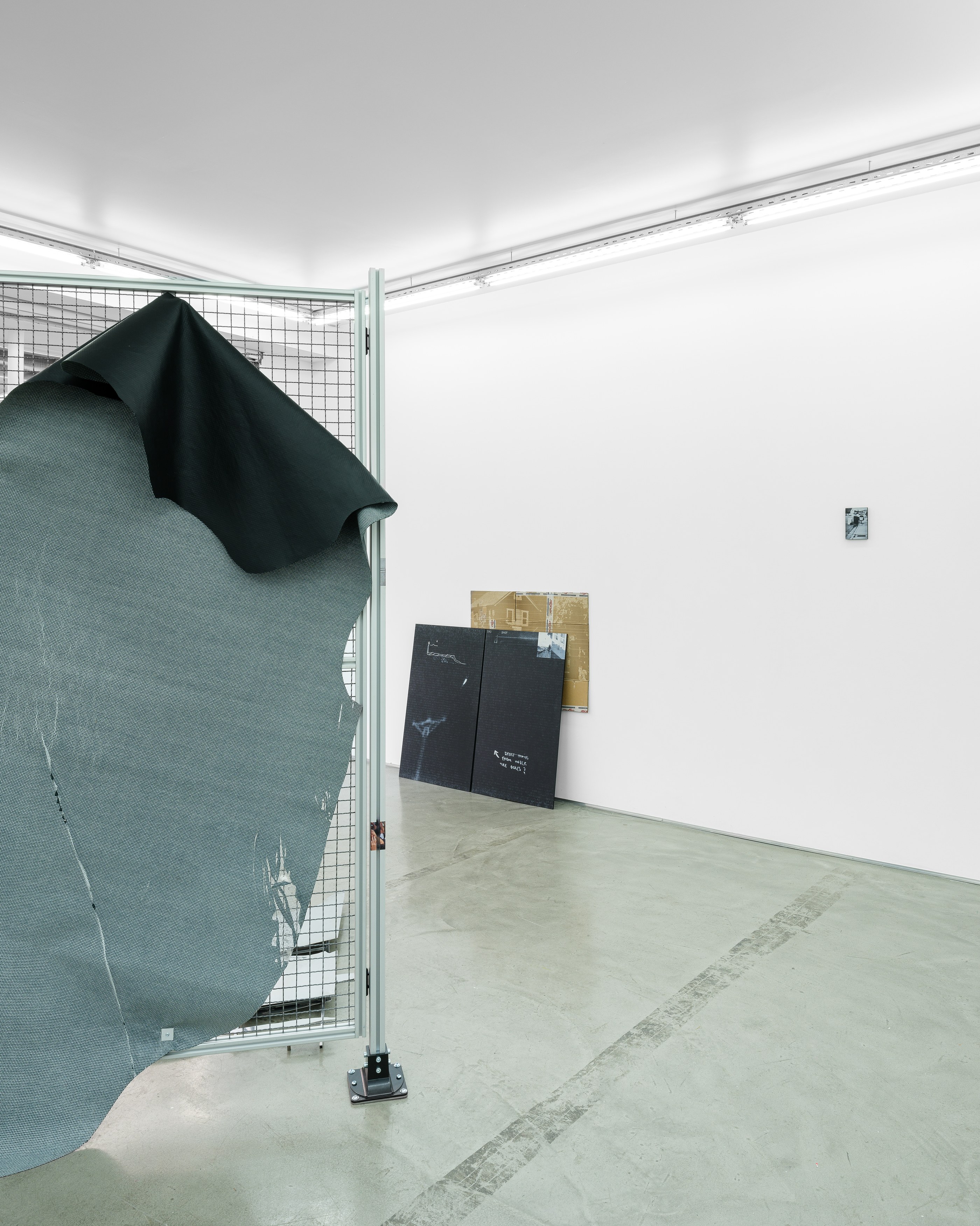 Célia Boulesteix, Victor Unwin, Pig Sole at Galerie Derouillon, photo 18