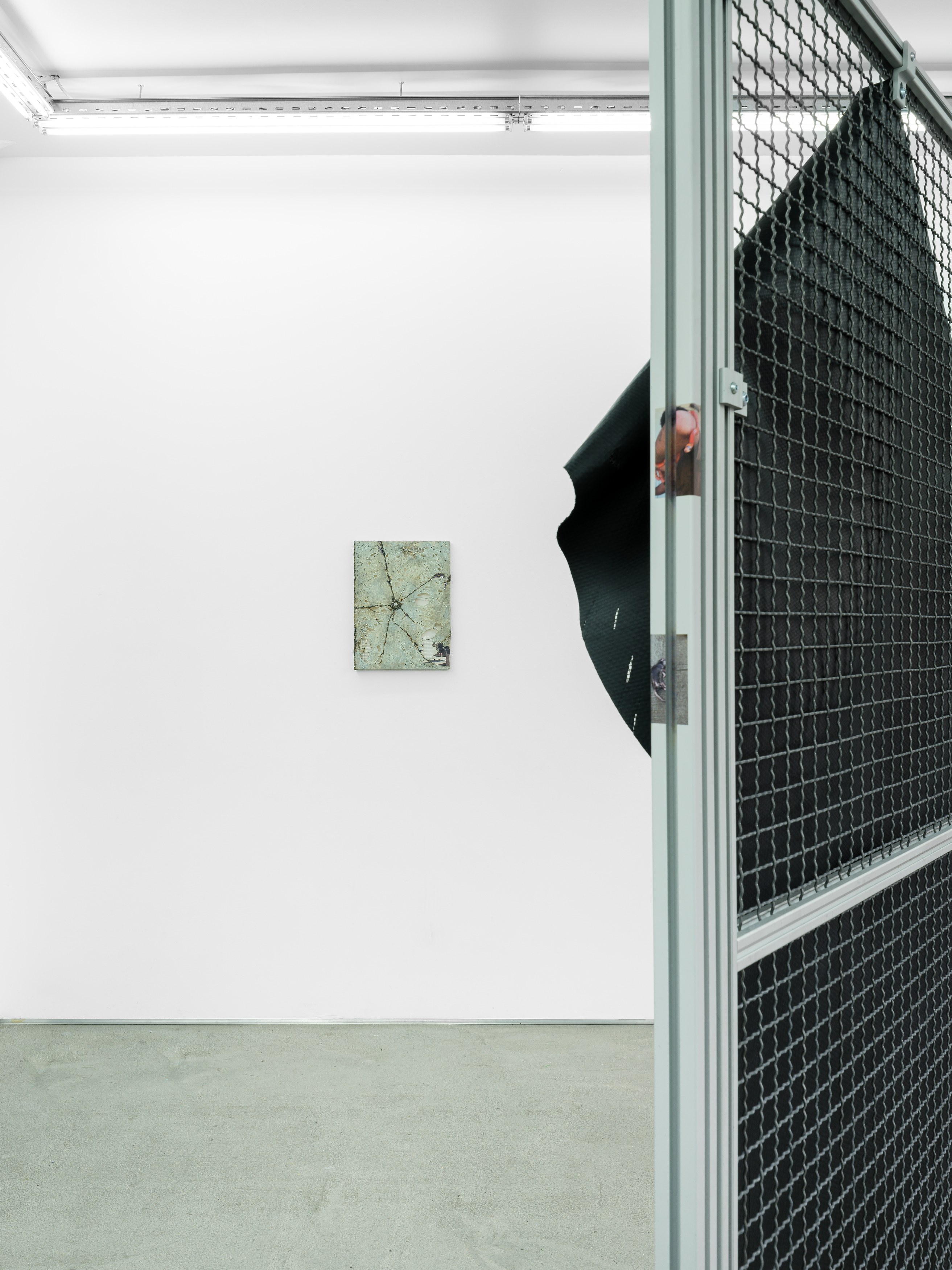 Célia Boulesteix, Victor Unwin, Pig Sole at Galerie Derouillon, photo 19