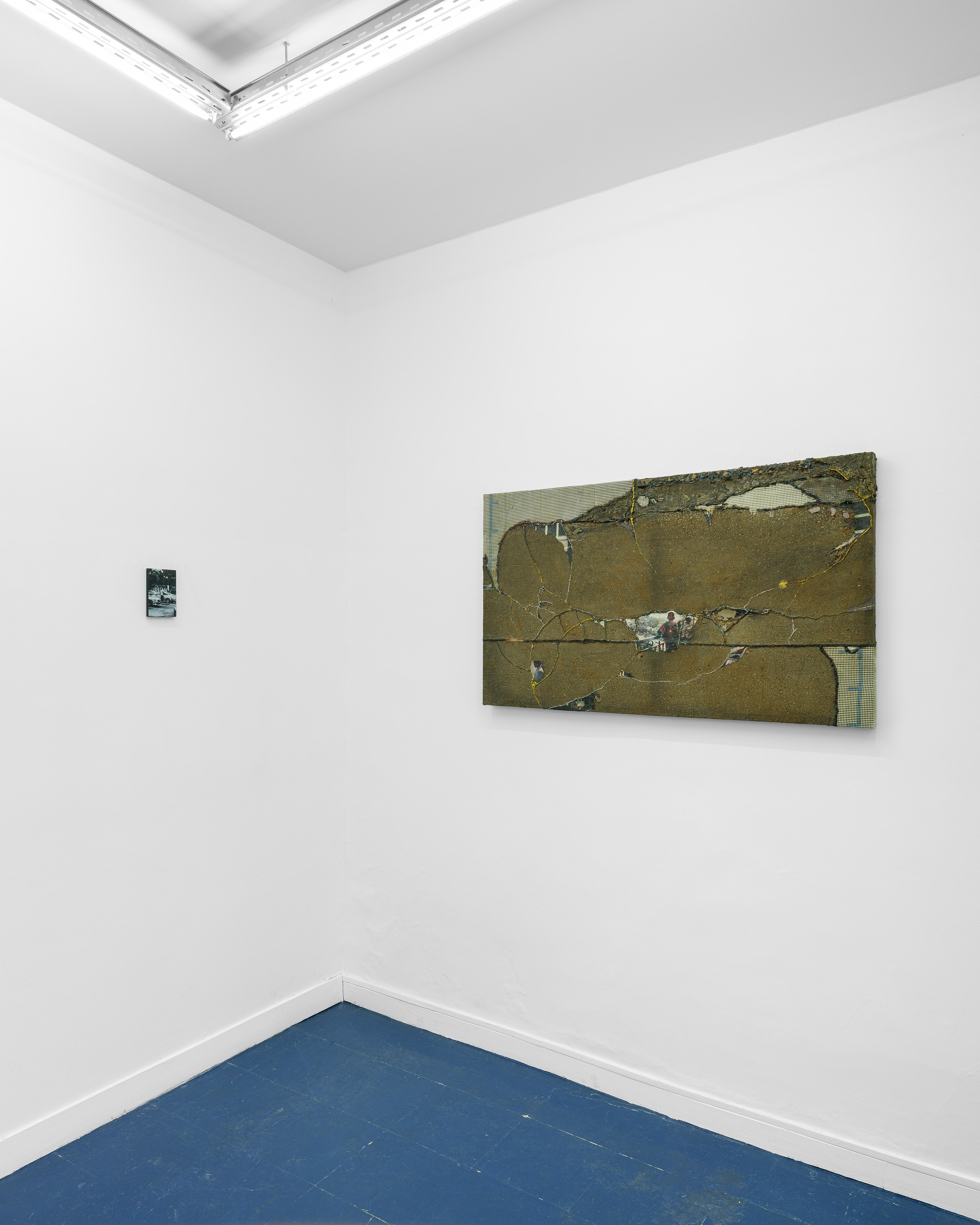 Célia Boulesteix, Victor Unwin, Pig Sole at Galerie Derouillon, photo 21