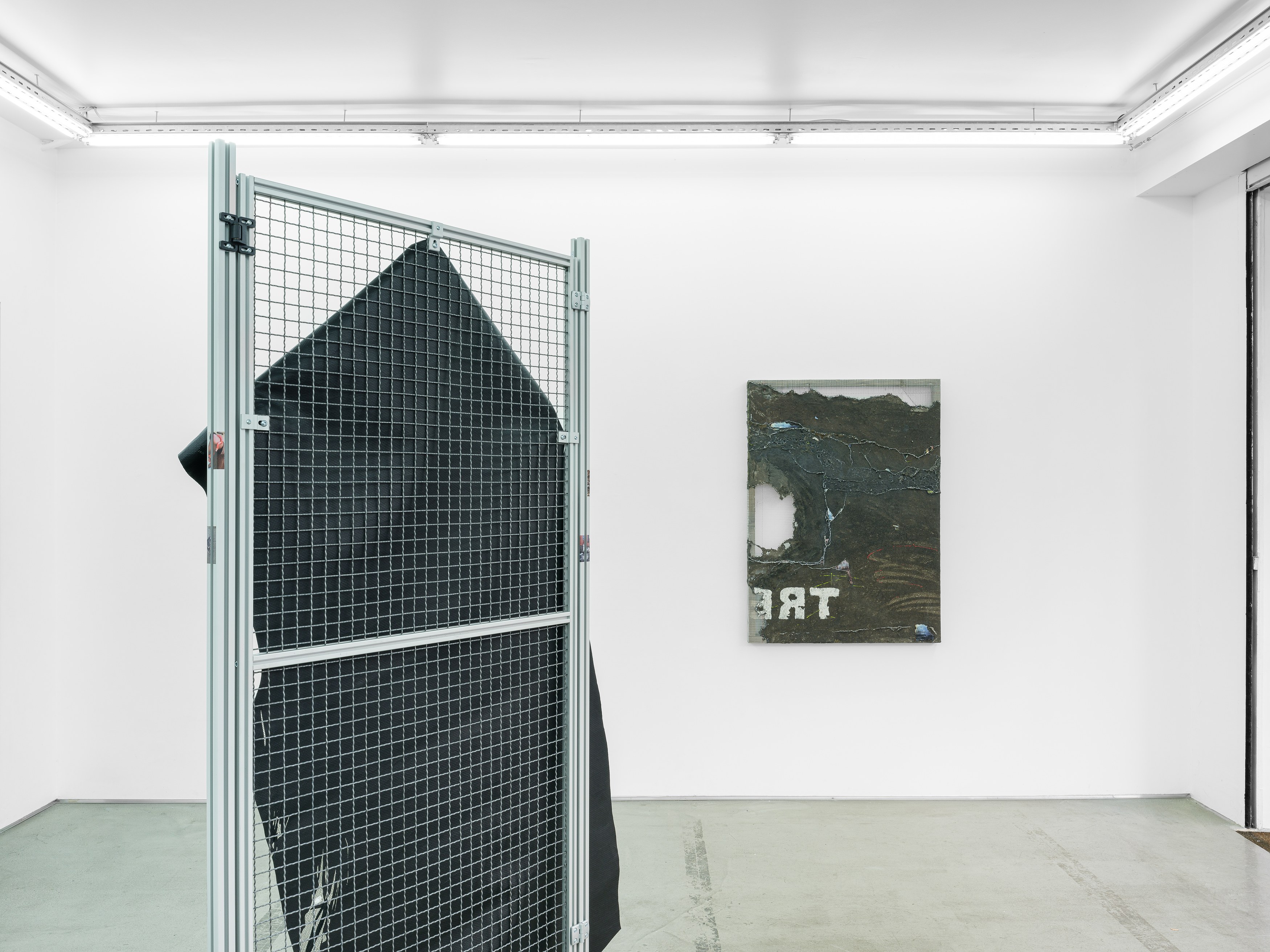 Célia Boulesteix, Victor Unwin, Pig Sole at Galerie Derouillon, photo 20