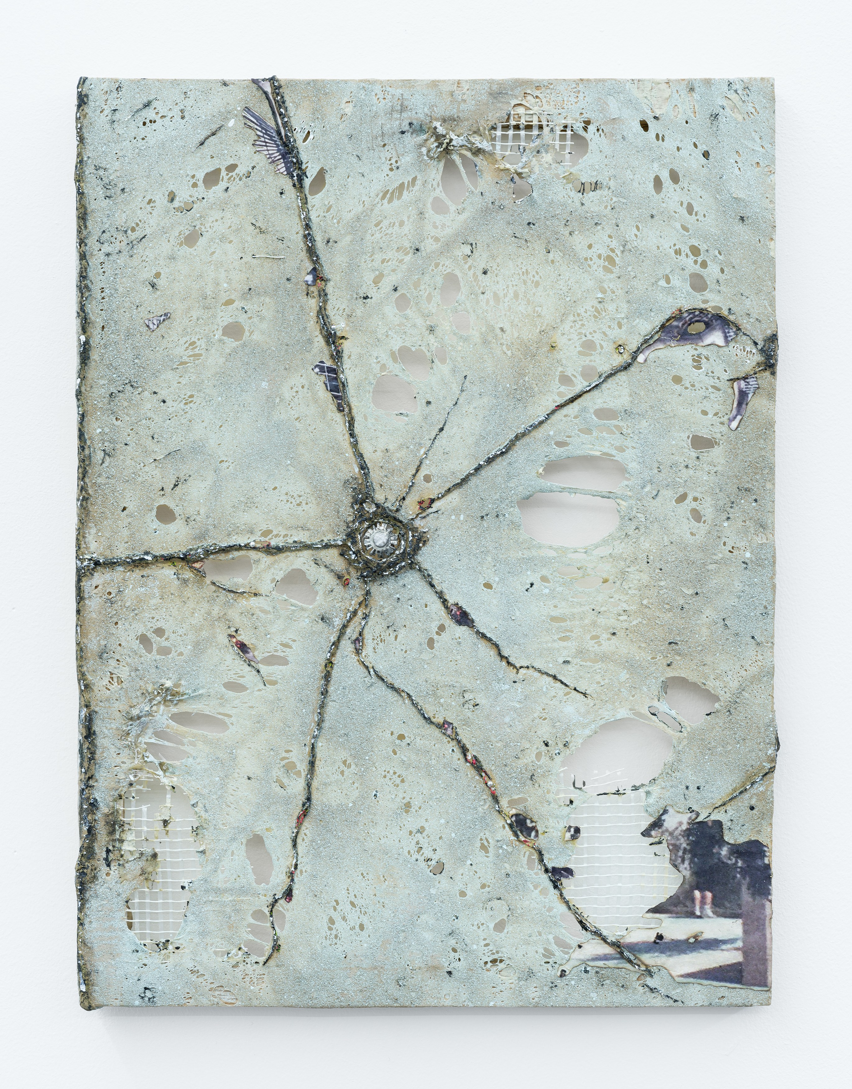 Célia Boulesteix, Victor Unwin, Pig Sole at Galerie Derouillon, photo 24