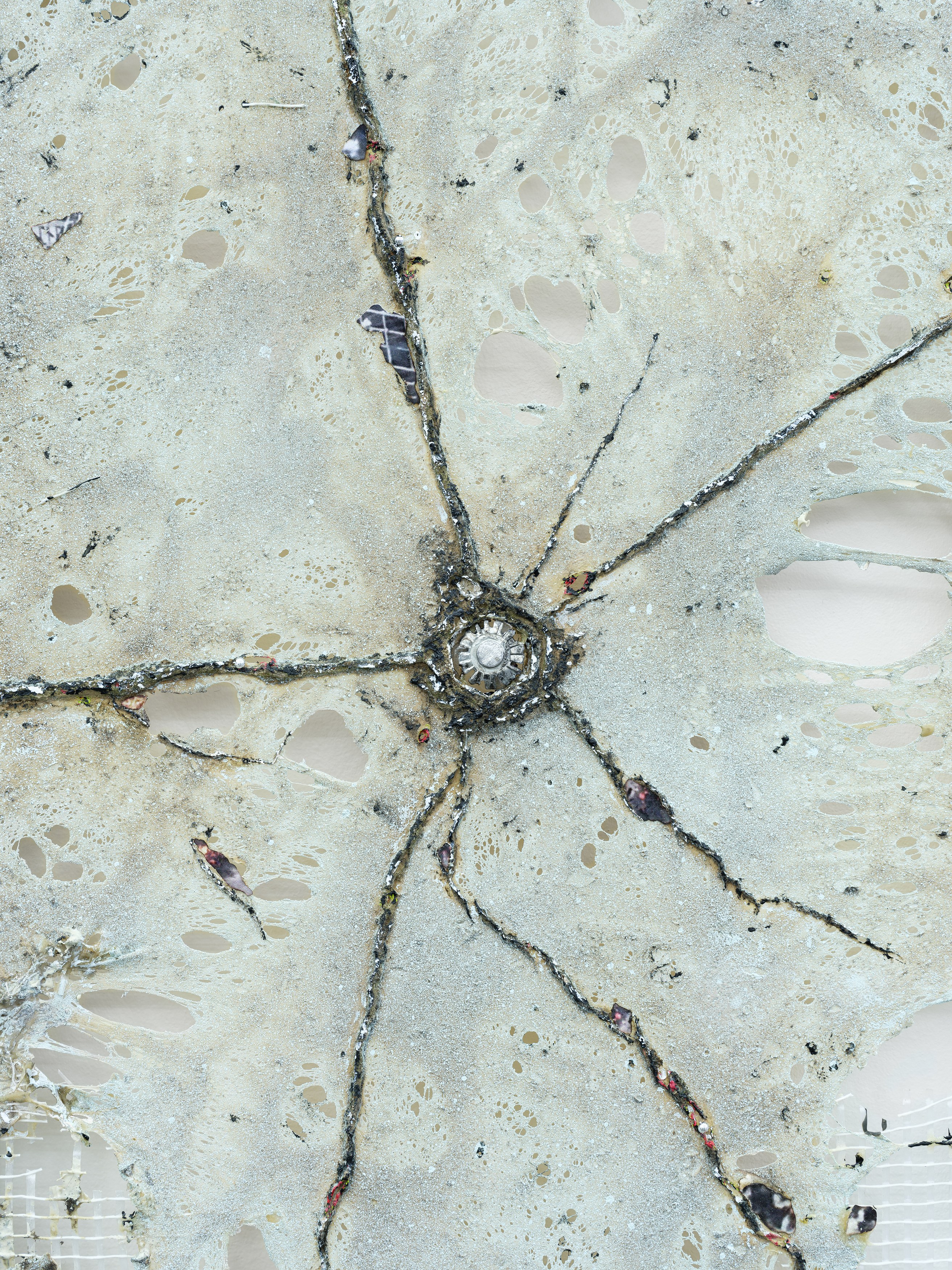 Célia Boulesteix, Victor Unwin, Pig Sole at Galerie Derouillon, photo 25