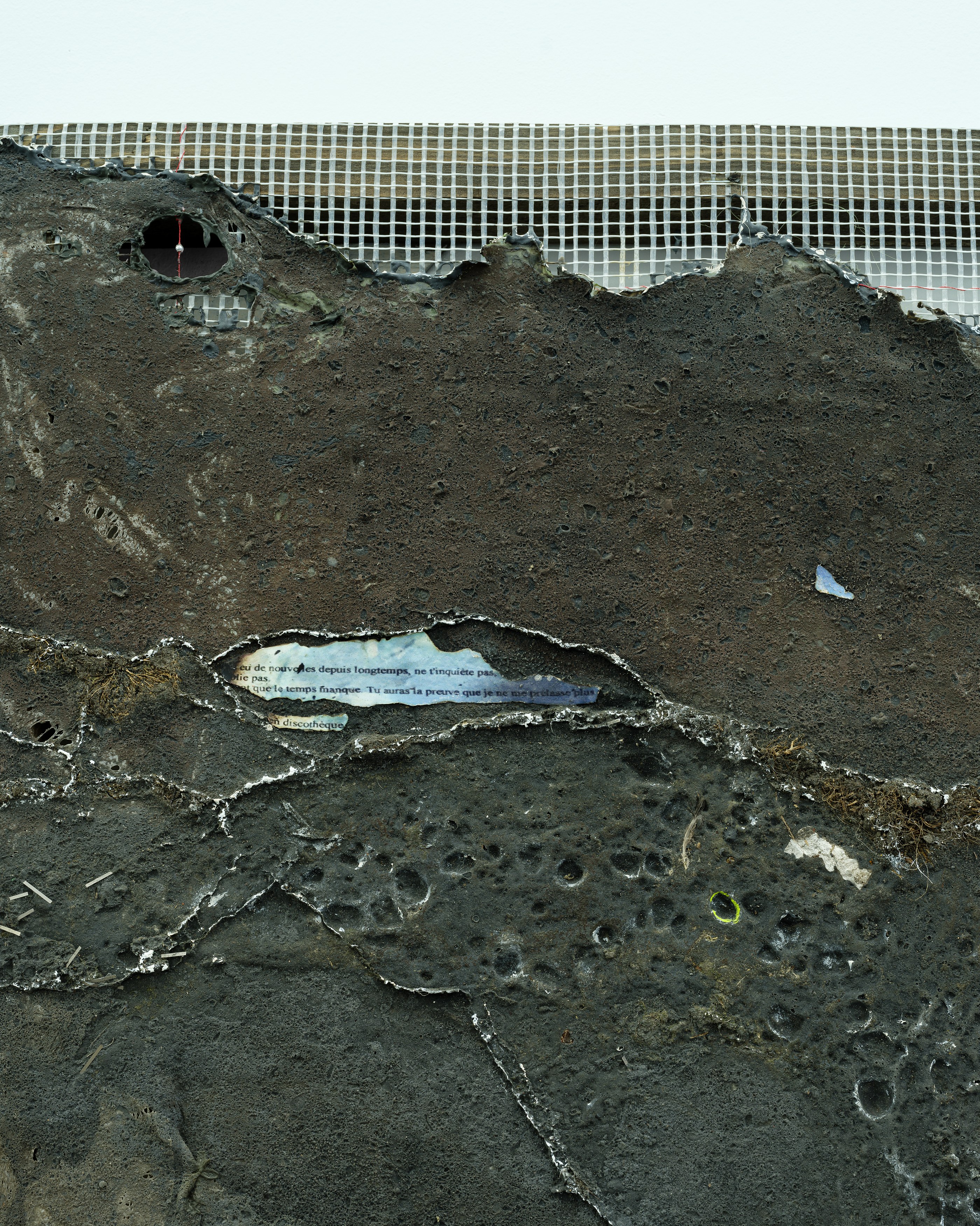 Célia Boulesteix, Victor Unwin, Pig Sole at Galerie Derouillon, photo 26