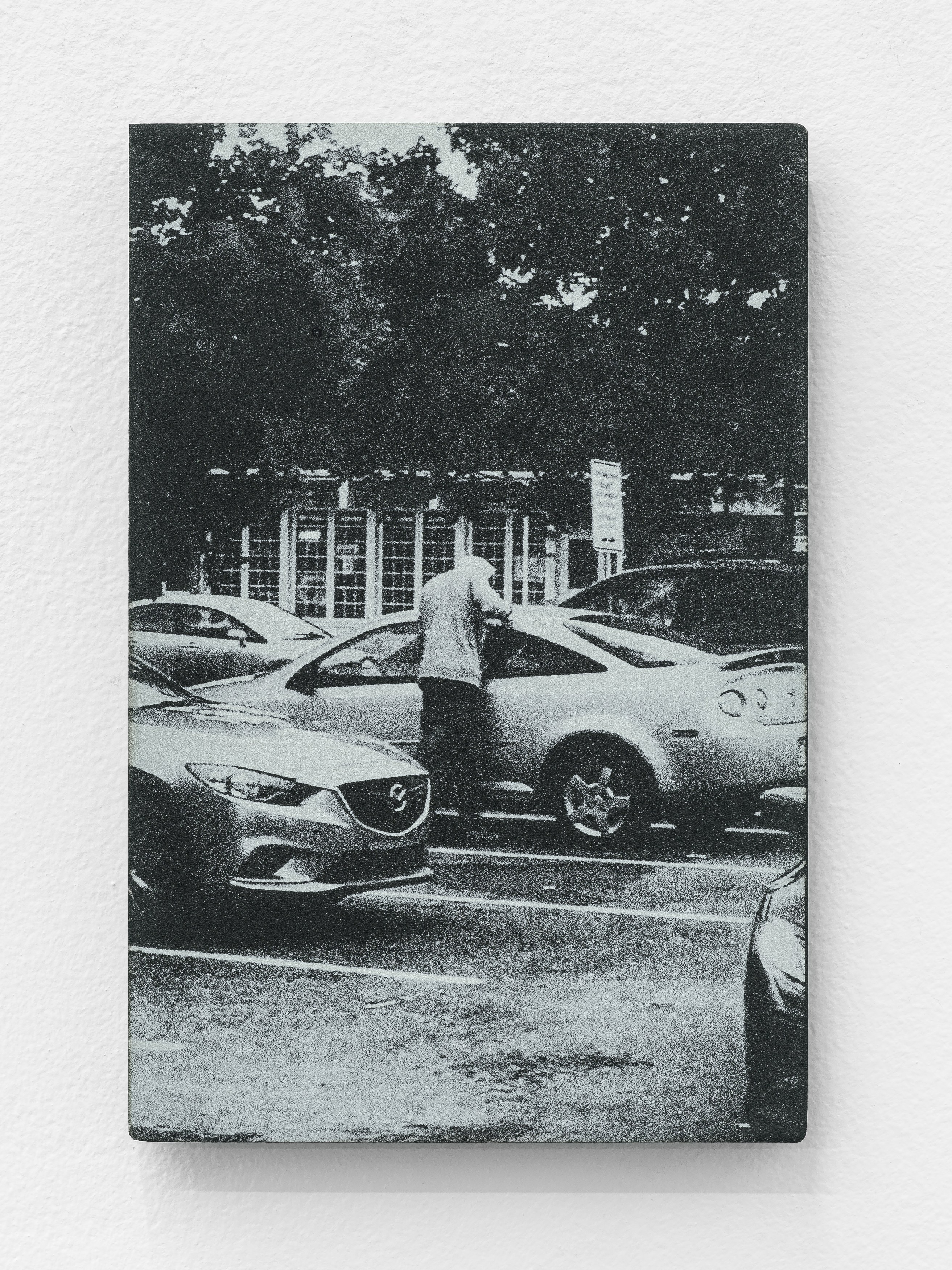 Célia Boulesteix, Victor Unwin, Pig Sole at Galerie Derouillon, photo 36