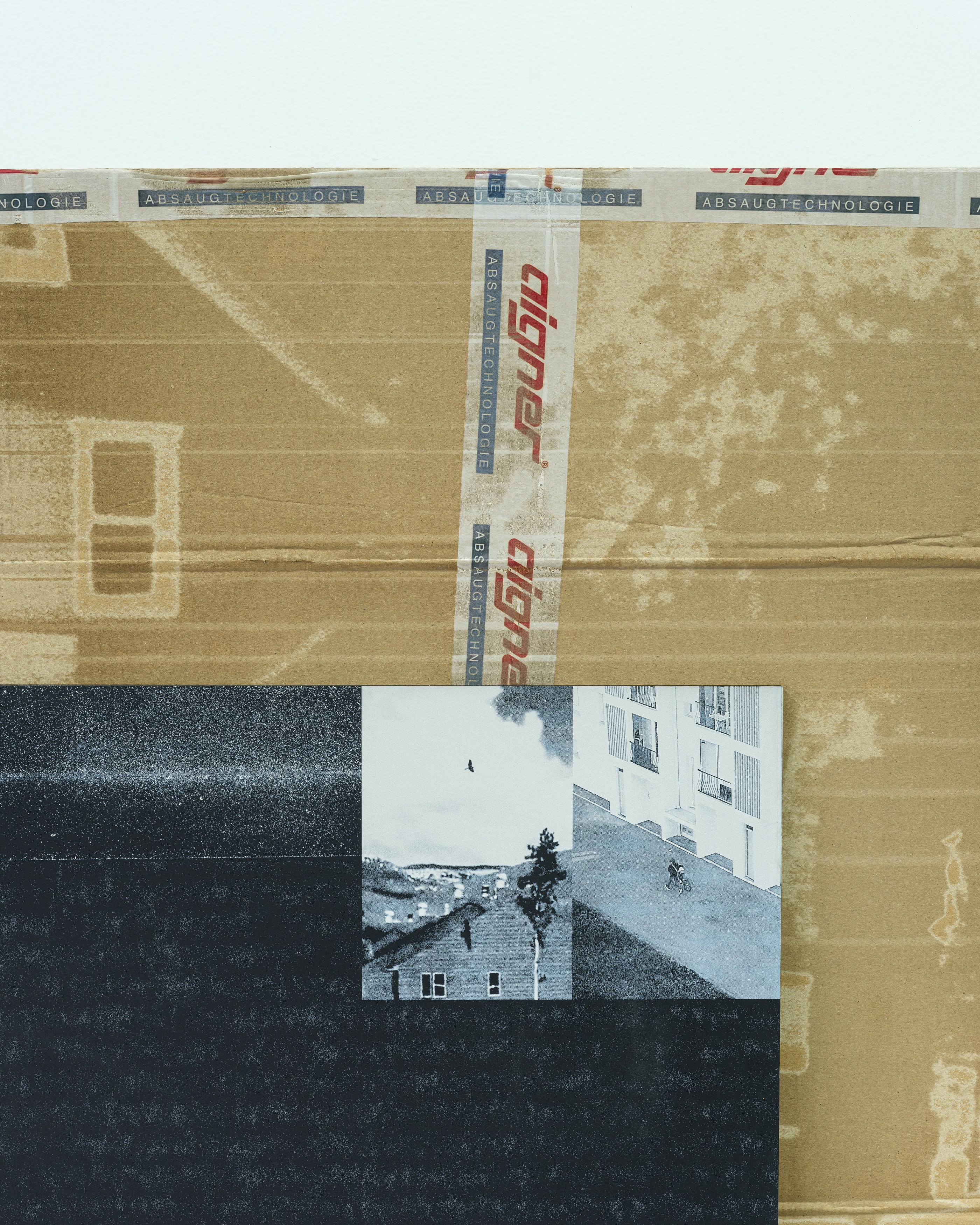 Célia Boulesteix, Victor Unwin, Pig Sole at Galerie Derouillon, photo 35