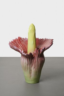 Image 15 of 21