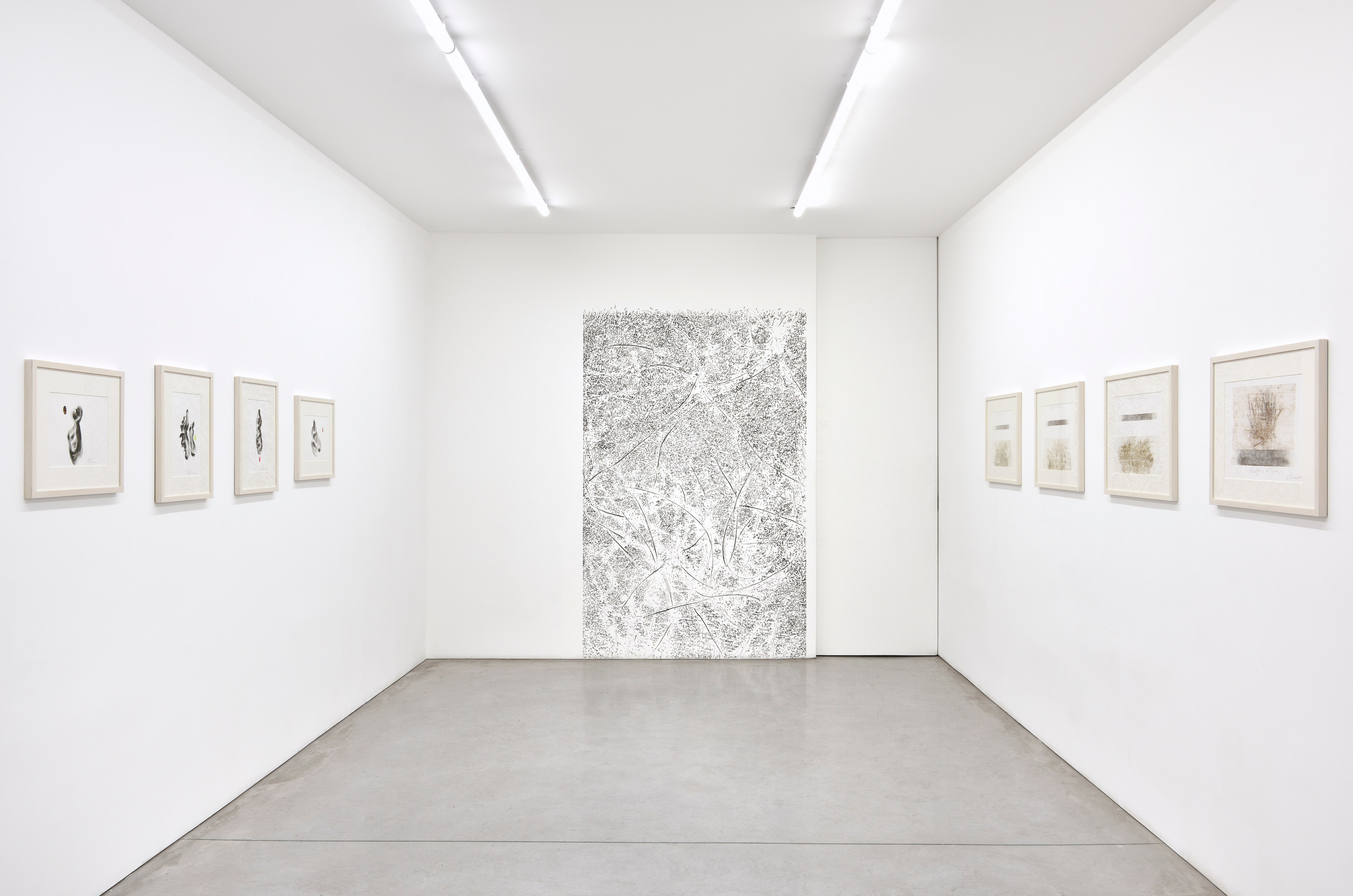 Giuseppe Penone, envelopper la Terre at Marian Goodman Gallery, photo 3