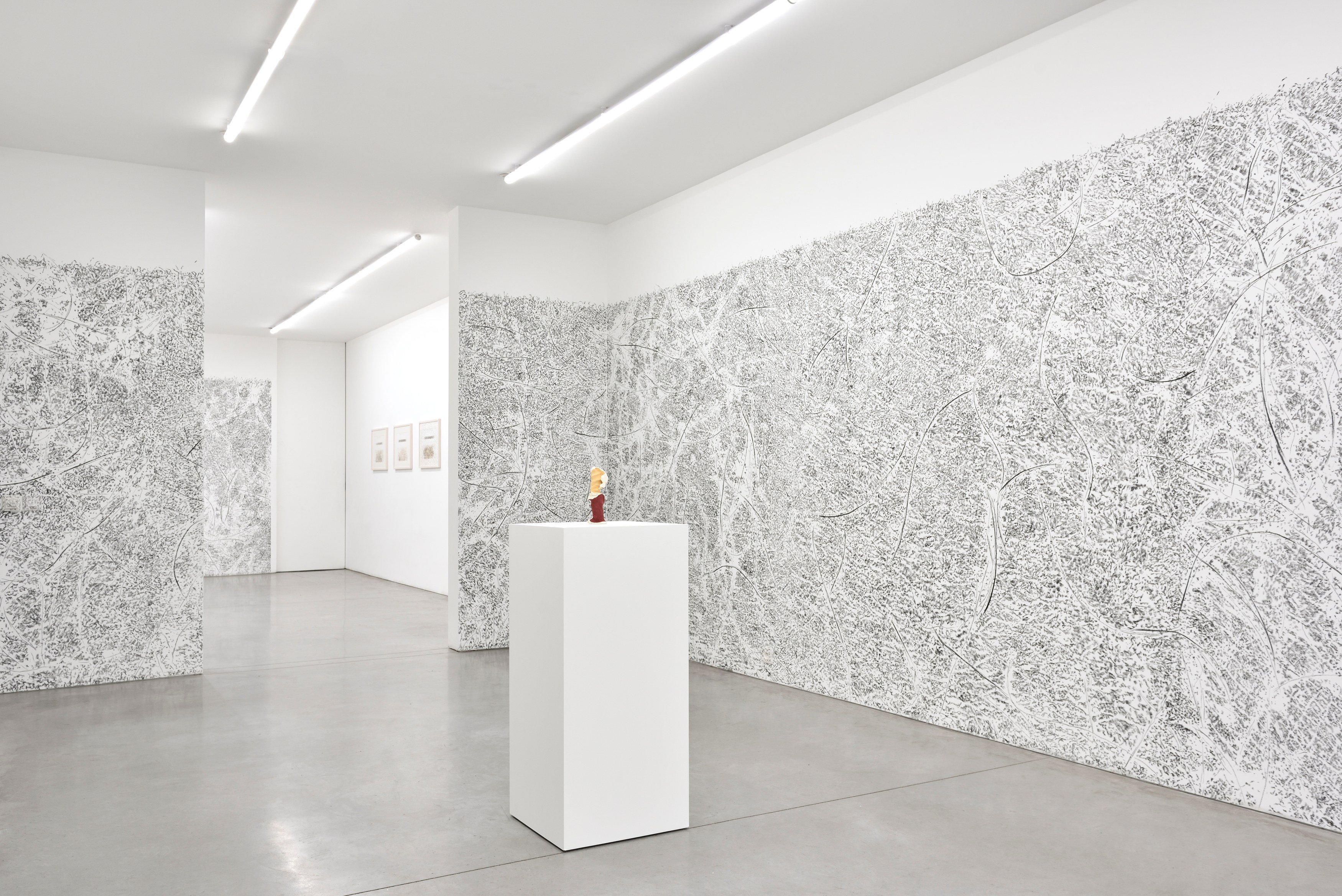 Giuseppe Penone, envelopper la Terre at Marian Goodman Gallery, photo 2