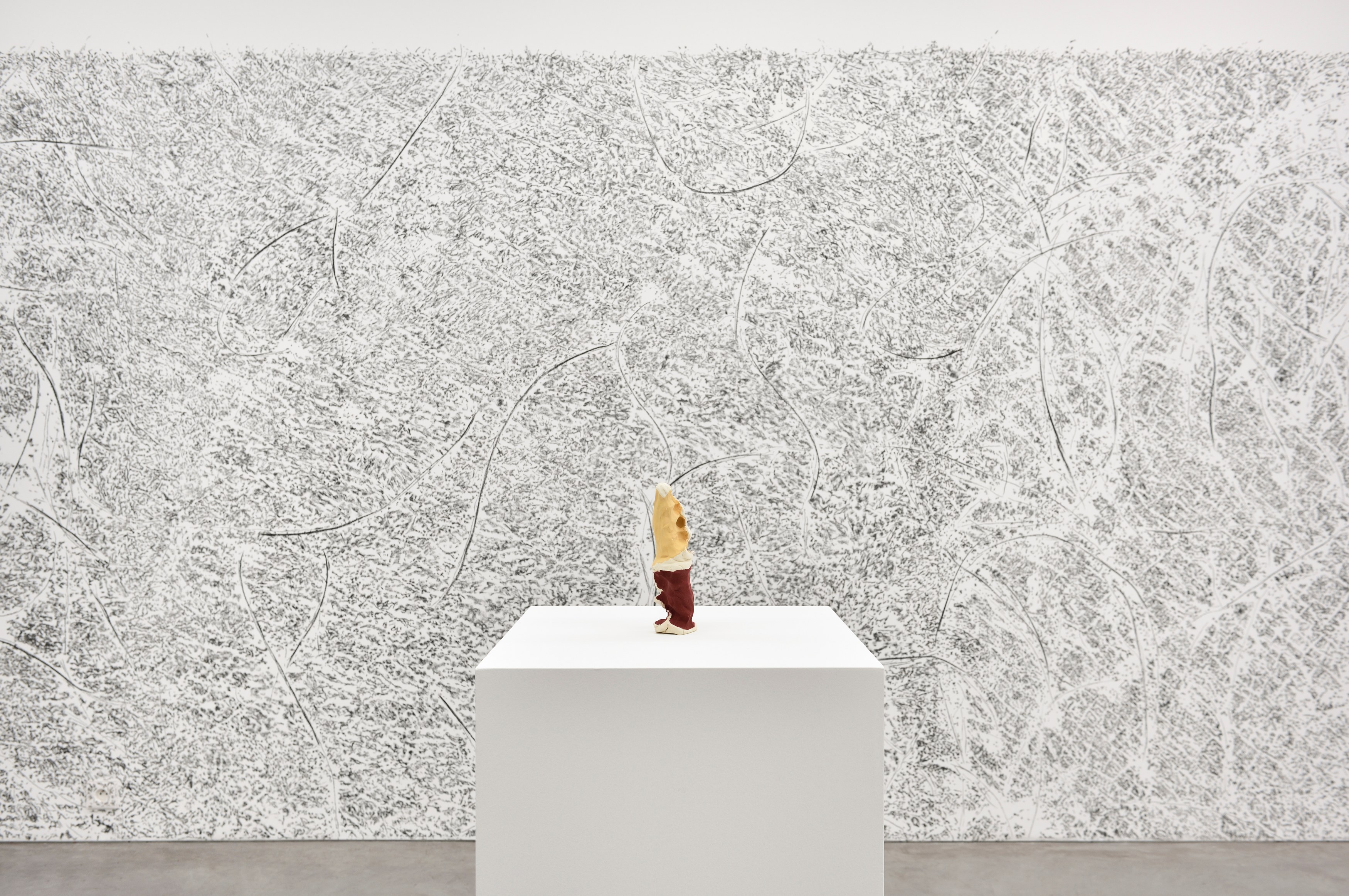 Giuseppe Penone, envelopper la Terre at Marian Goodman Gallery, photo 4