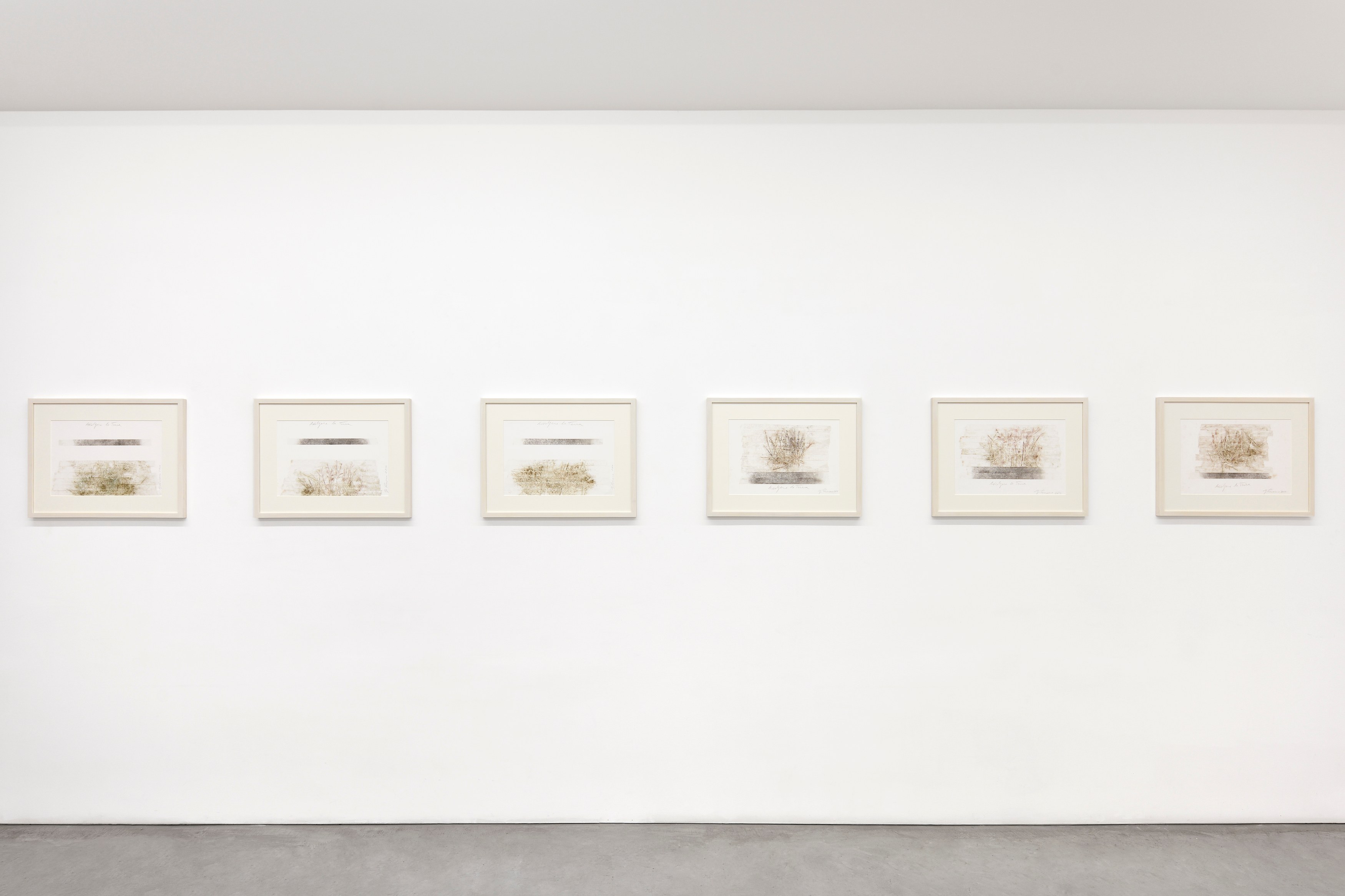 Giuseppe Penone, envelopper la Terre at Marian Goodman Gallery, photo 8