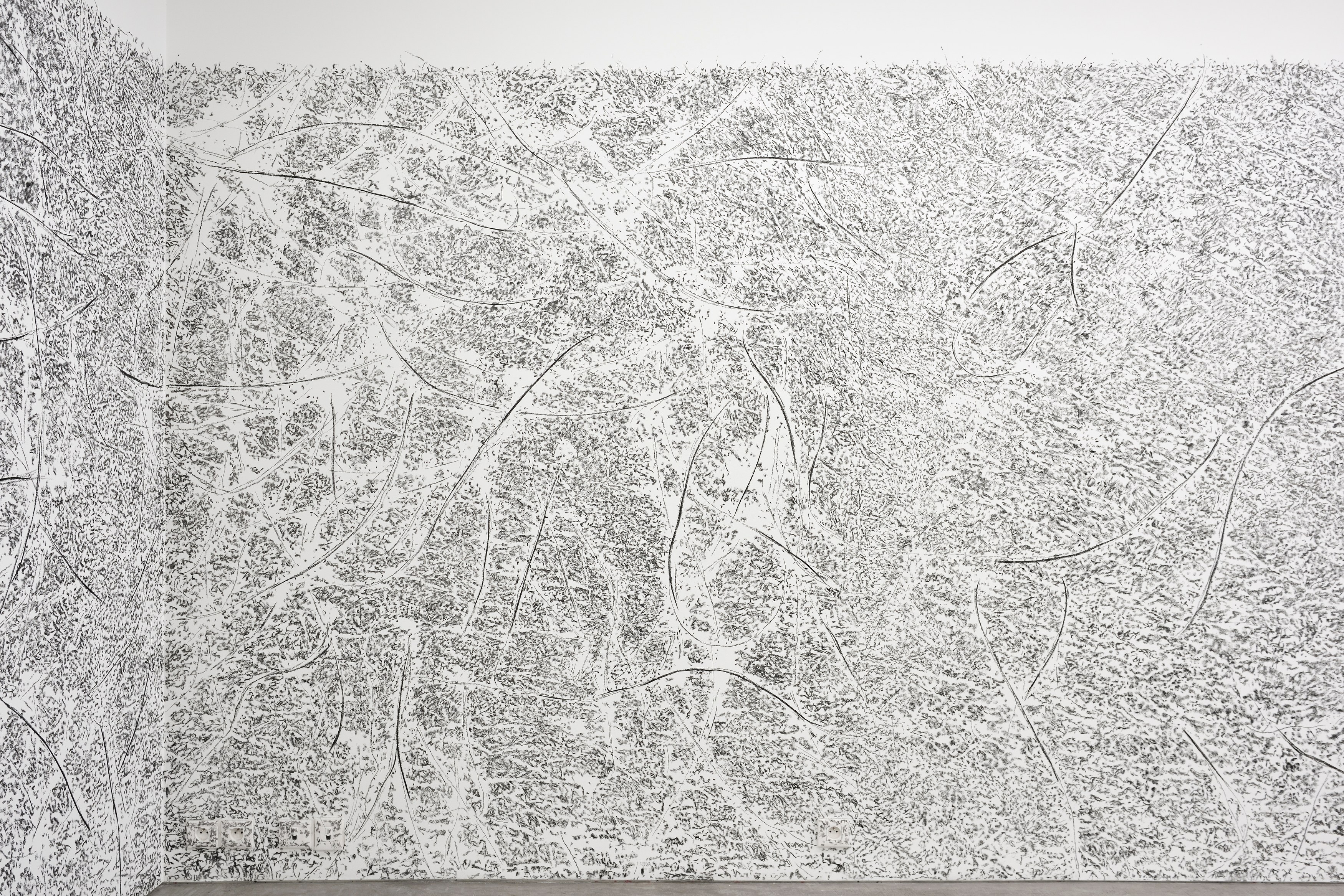 Giuseppe Penone, envelopper la Terre at Marian Goodman Gallery, photo 6