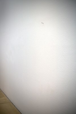 Image 3 of 16