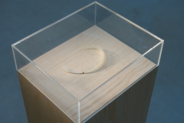 Image 15 of 16