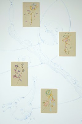 Image 2 of 44