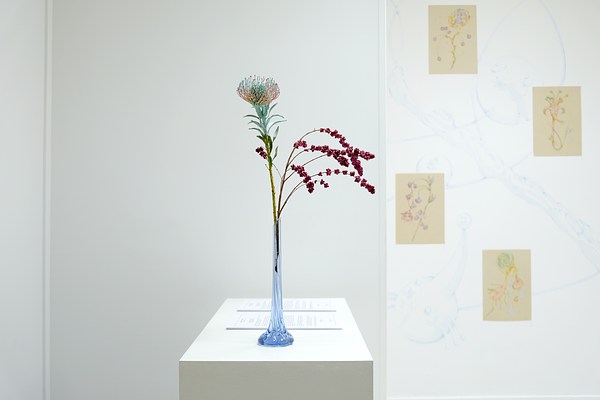 Image 1 of 44