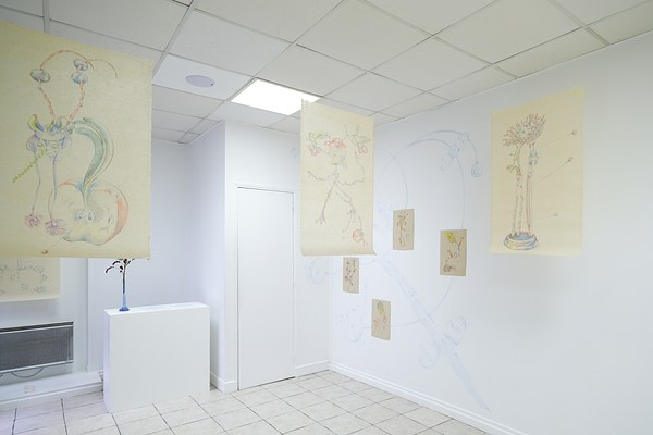 Image 11 of 44