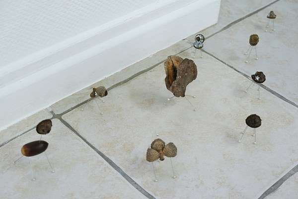 Image 15 of 44