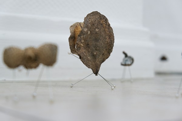 Image 16 of 44